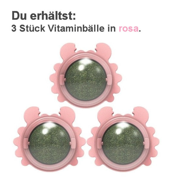 Vitaminball für Katzen (3er Pack)