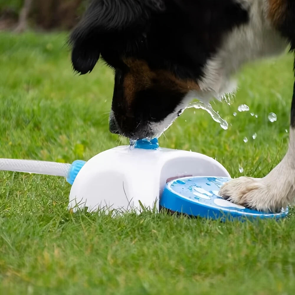 Spiel-Wasserfontäne für Hunde