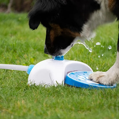 Spiel-Wasserfontäne für Hunde