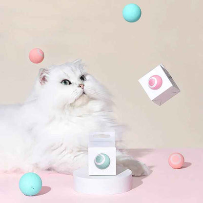 Catchee® - Smarter Spielball für Katzen