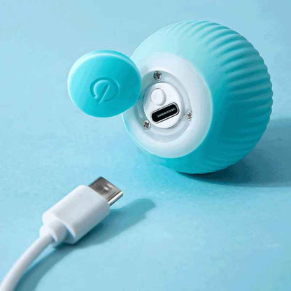 Catchee® - Smarter Spielball für Katzen