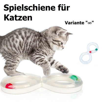 Robokäfer für Katzen