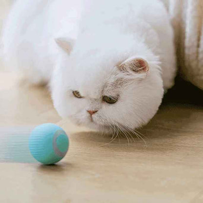 Catchee® - Smarter Spielball für Katzen