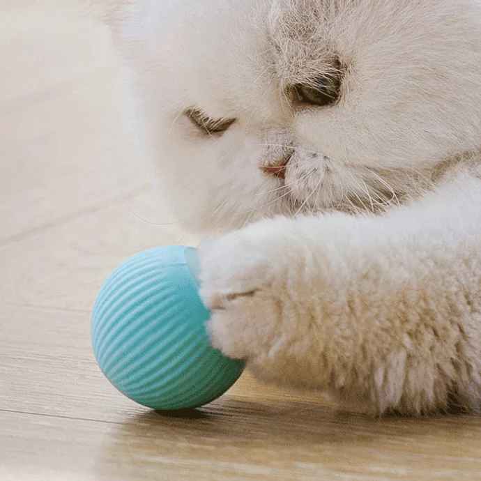 Catchee® - Smarter Spielball für Katzen