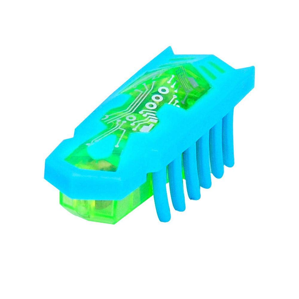 Robokäfer für Katzen