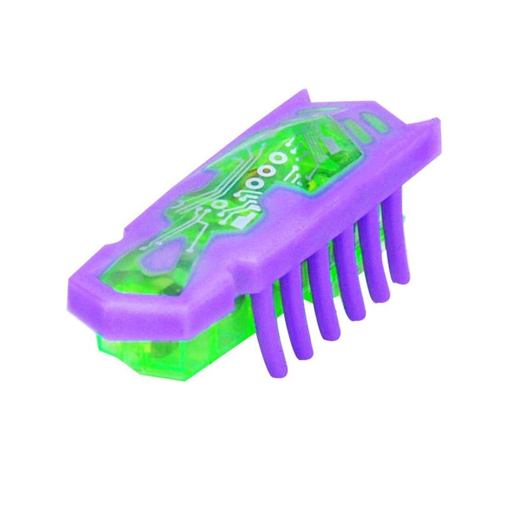 Robokäfer für Katzen