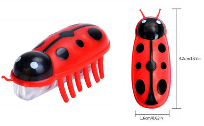 Robokäfer für Katzen