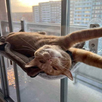 Schwerlast Hängematte für Katzen & Kleintiere (NEU: Jetzt als Langversion verfügbar)