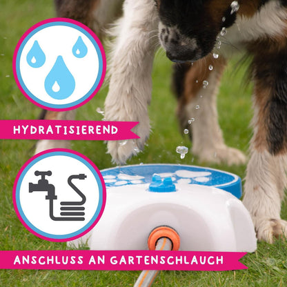 Spiel-Wasserfontäne für Hunde