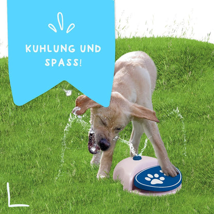 Spiel-Wasserfontäne für Hunde