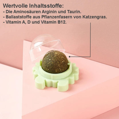 Vitaminball für Katzen (3er Pack)