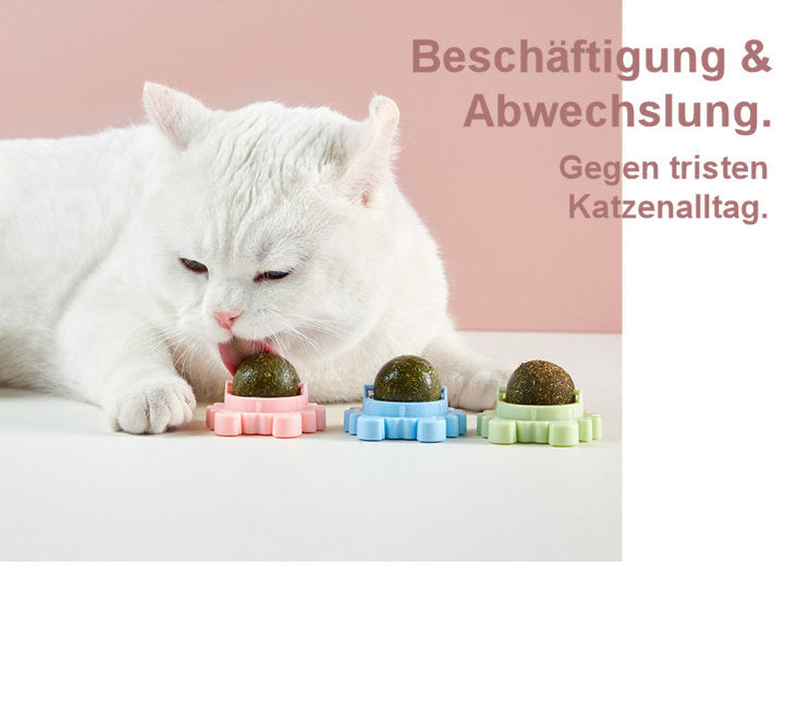 Vitaminball für Katzen (3er Pack)