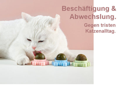Vitaminball für Katzen (3er Pack)