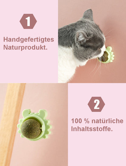 Vitaminball für Katzen (3er Pack)