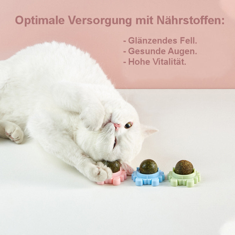 Vitaminball für Katzen (3er Pack)