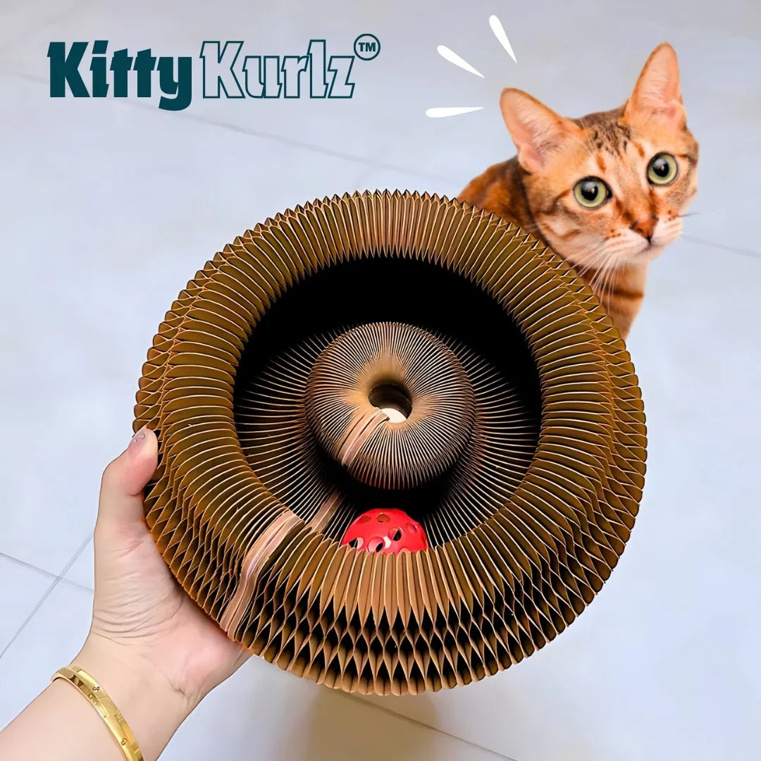 Kitty Kurlz™ - tiergerechtes Spielzeug für Katzen
