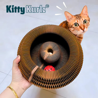 Kitty Kurlz™ - tiergerechtes Spielzeug für Katzen