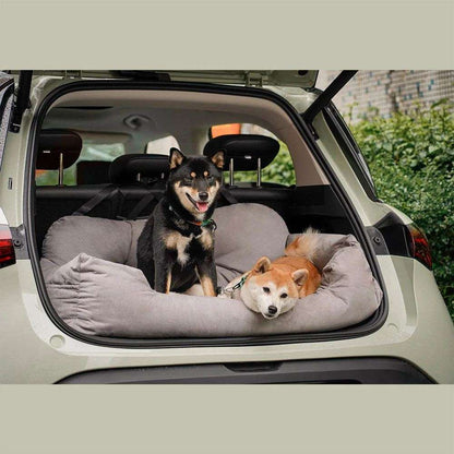 Autosofa für Hunde