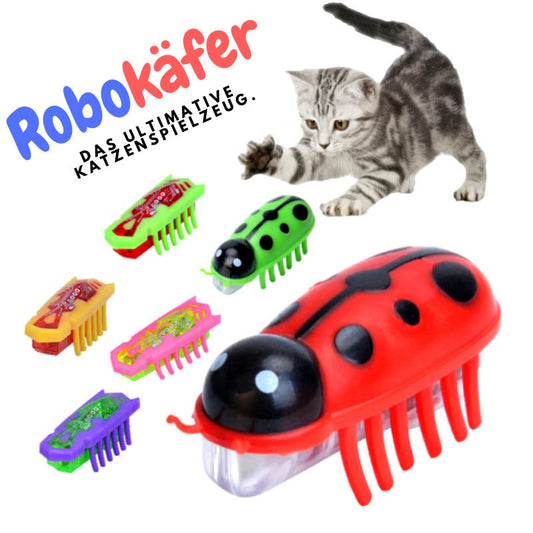 Robokäfer für Katzen