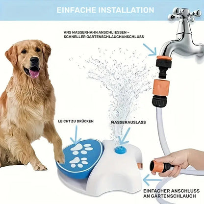 Spiel-Wasserfontäne für Hunde