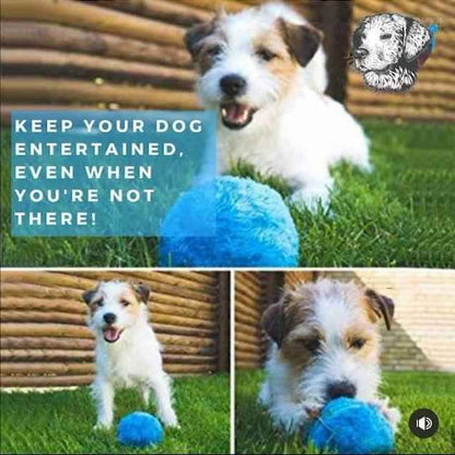 Vollautomatischer aktiver Rollball für Haustiere