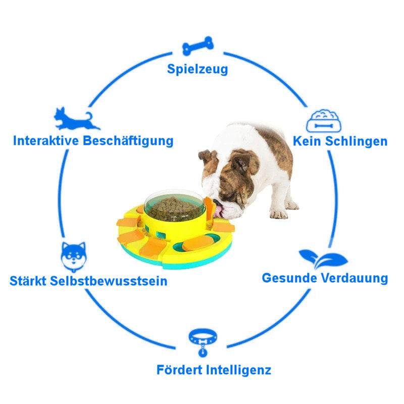 Interaktives Intelligenzspiel für Hunde