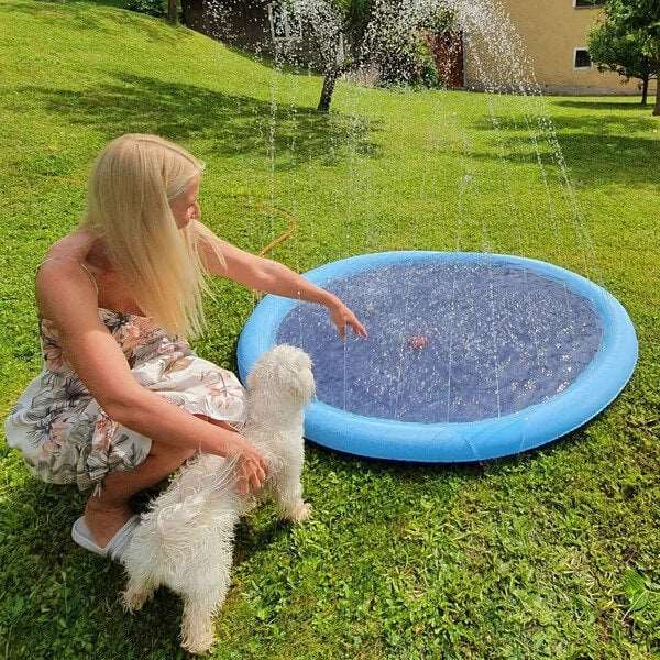 Brausepool für Hunde
