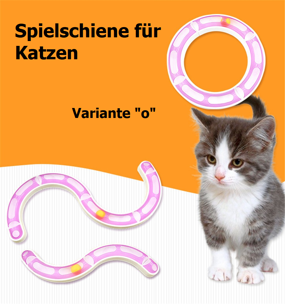 Robokäfer für Katzen