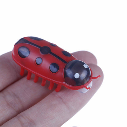 Robokäfer für Katzen