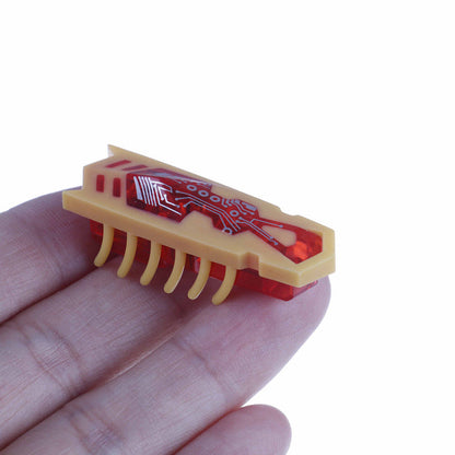 Robokäfer für Katzen